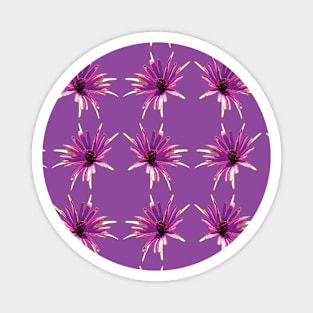 Purple Flower Pattern - Wild Salsify on Purple Magnet